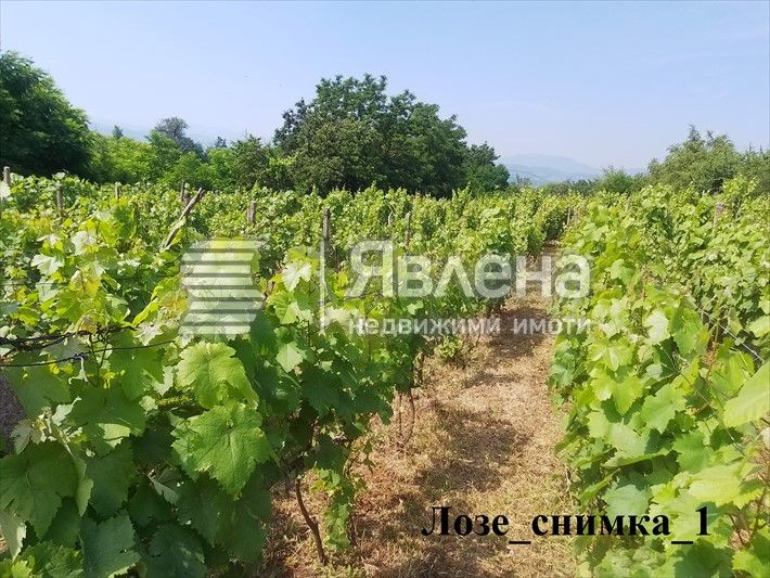 Продава се Земеделски имот в Благоевград, Баларбаши -  кв.м за 21 €/дка - Снимка #1