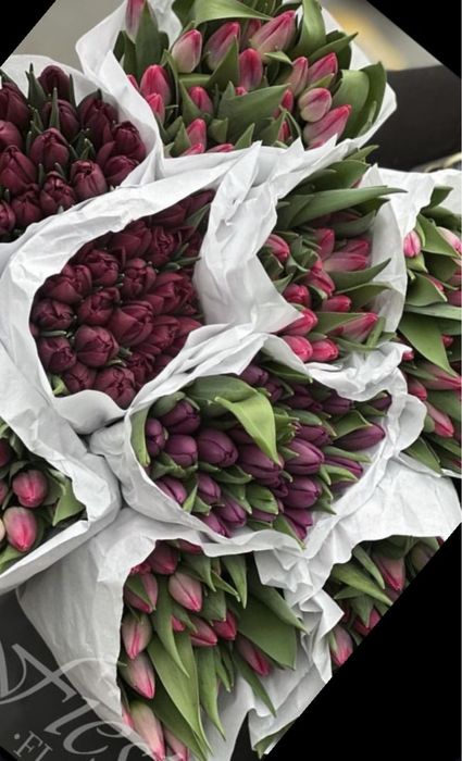 Тюльпаны оптом поставка с Голандий бронирование цветов