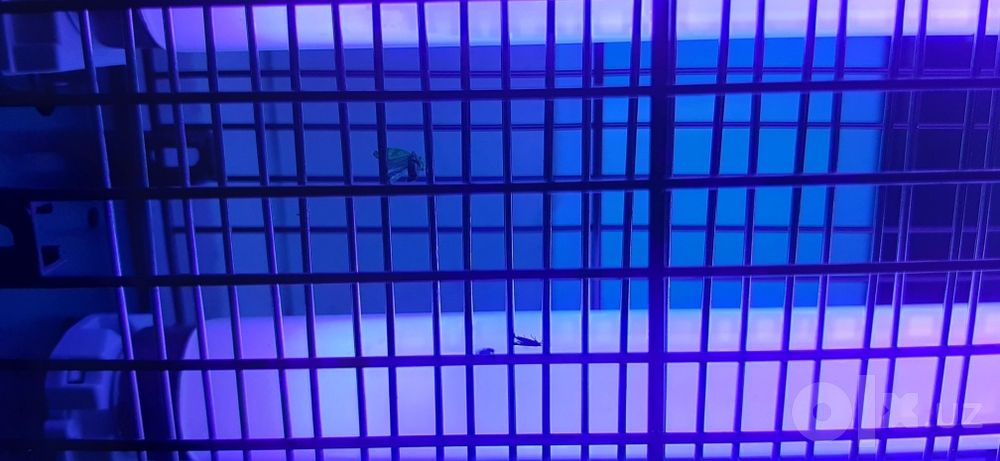 Светильник , Lampa  мухабойка лампа
