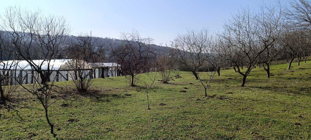 Парцел - с.Калипетрово-от собственик