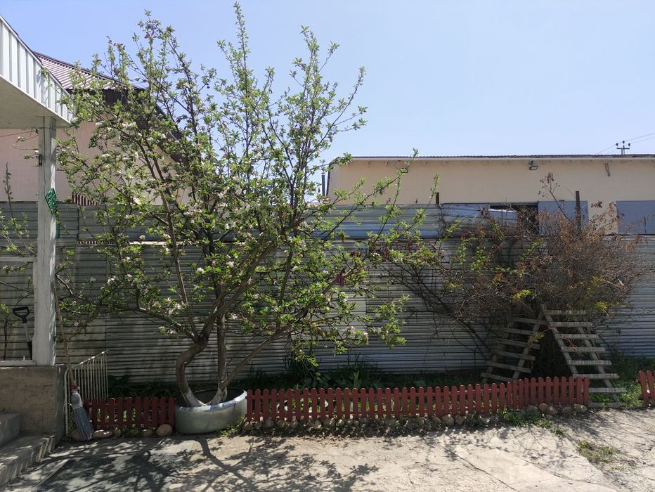 Дом, загородный дом