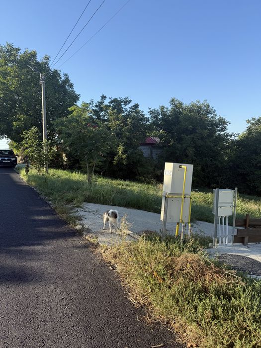 Teren de vanzare Valea Lupului