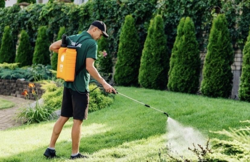 Обслуживание территории вашего сада