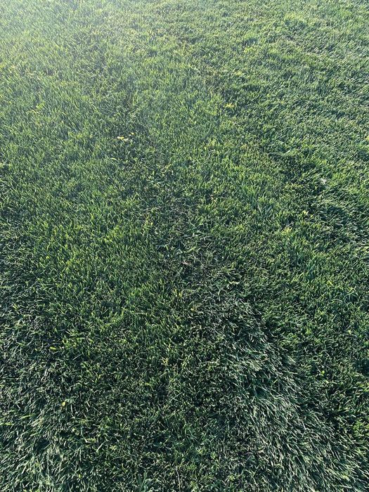 Газон таййор рулон полив установка