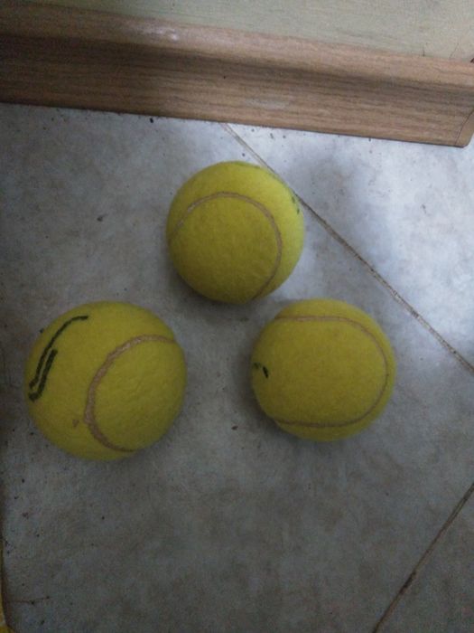 Цена : 0,80 лв за брой!Използвани тенис топки!!