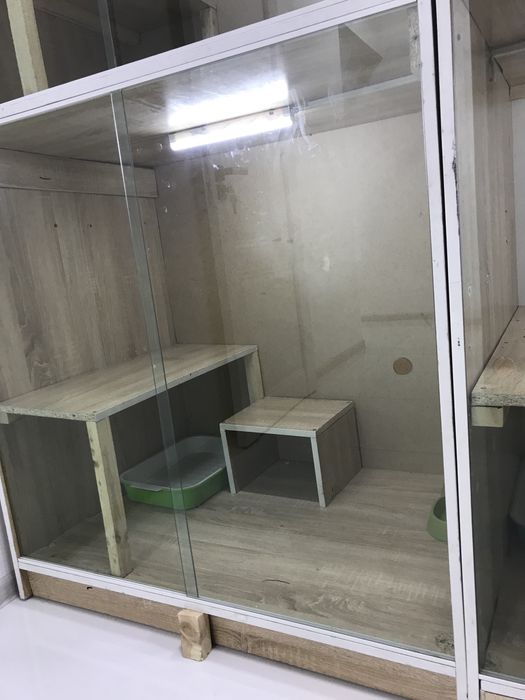 Передершка жыводных