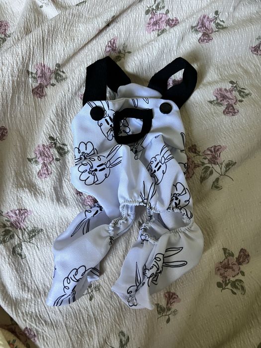 Одежда для собак