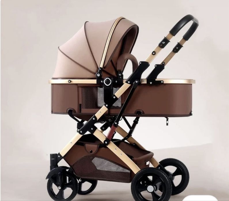 carucior 2 in 1