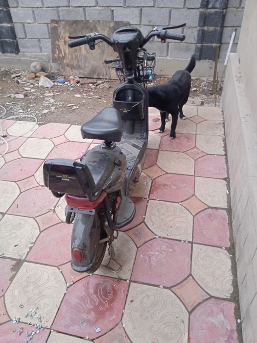 Электро скутер  .