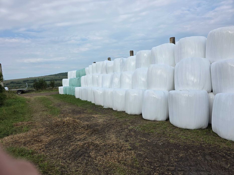 Vând lucernă înfoliată