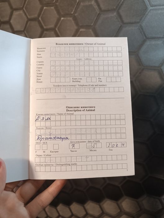 Продаю Дратхаара. Срочна