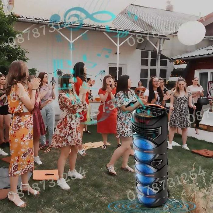 Голяма и Мощна Тонколона 3х8 инча с Безжичен Микрофон и Дистанционно