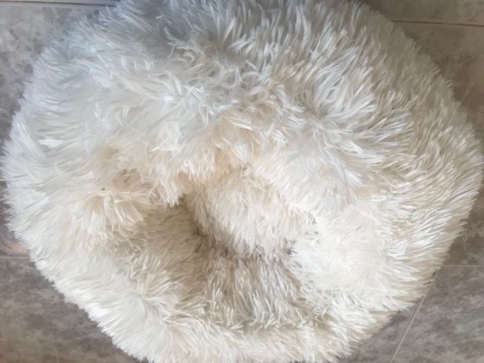 Продавам елегантно легло за котка