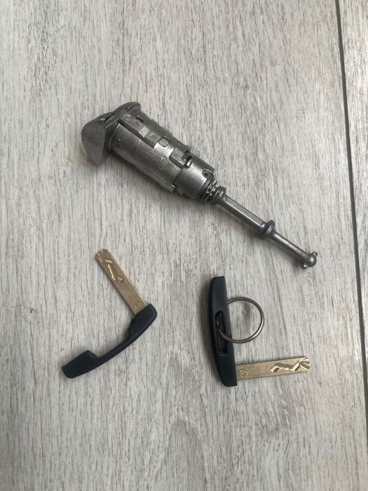 Butuc ușă stanga cu doua chei pentru Renault scenic 3