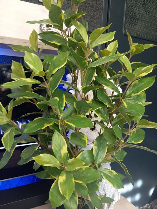 Изкуствени цветя ,нови