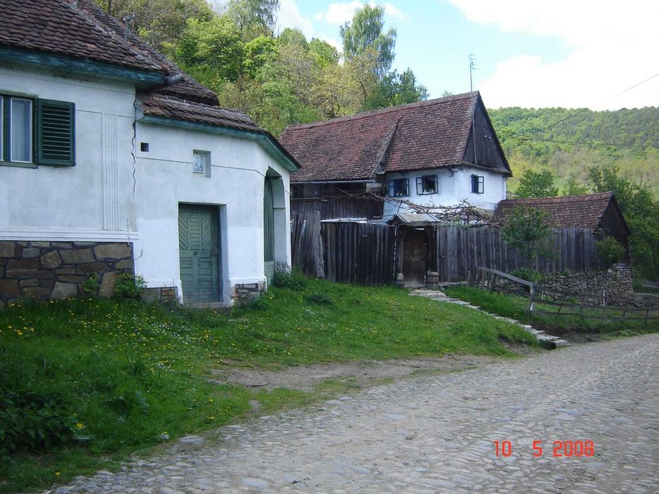 Casa cu anexe in Fântânele