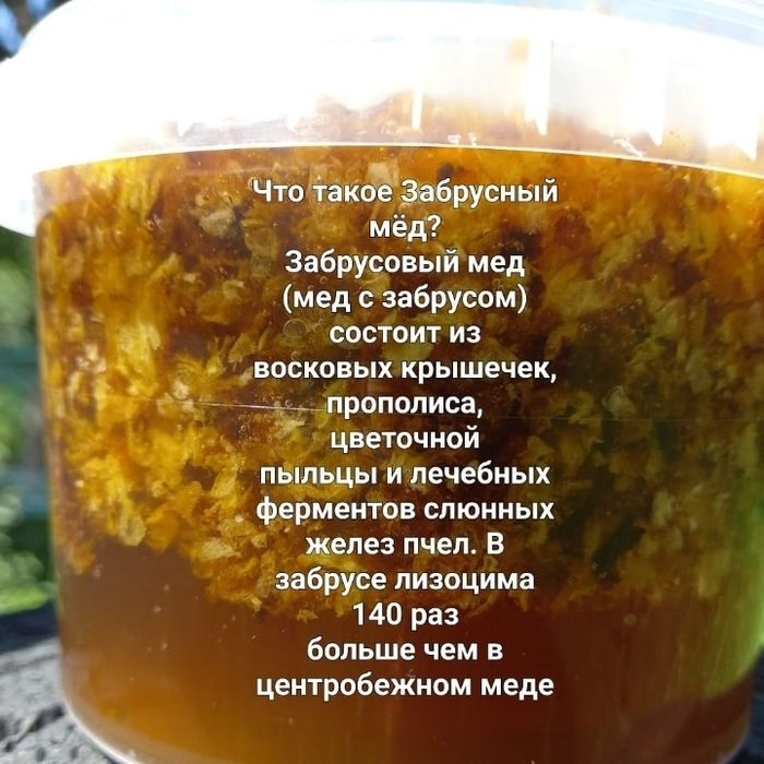 Продам мед со своей пасеки