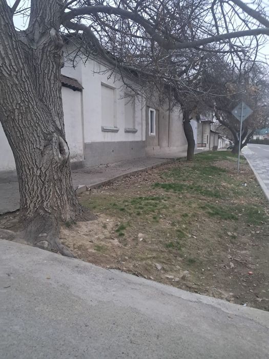 (maksim gorkiy)Mirzo Ulug'bek yer hisobida uy sotiladi