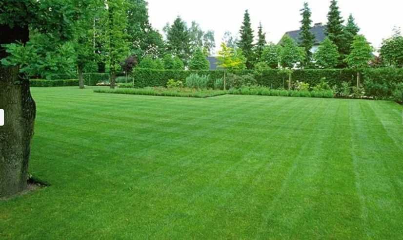 Gazon Rulou sisteme de Irigare