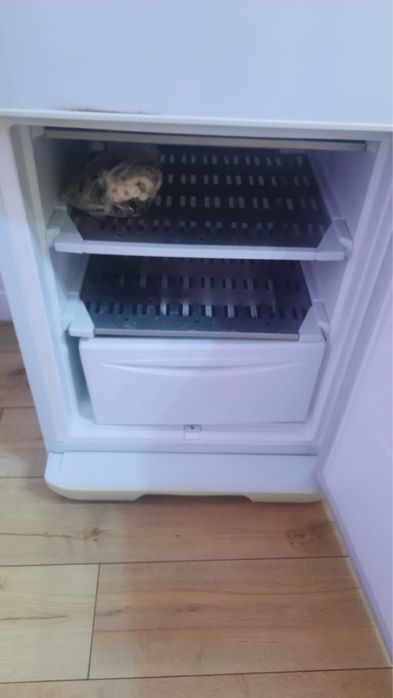 Продам холодильник Бирюса