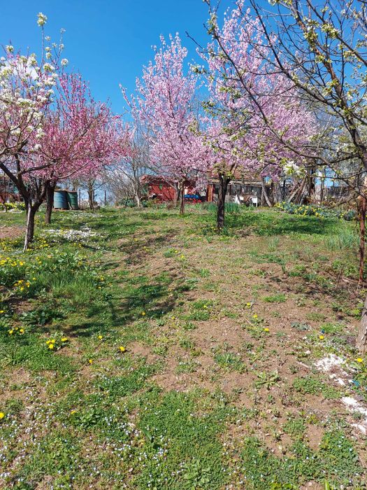 Resita, Teren / gradina. Calea Caransebesului