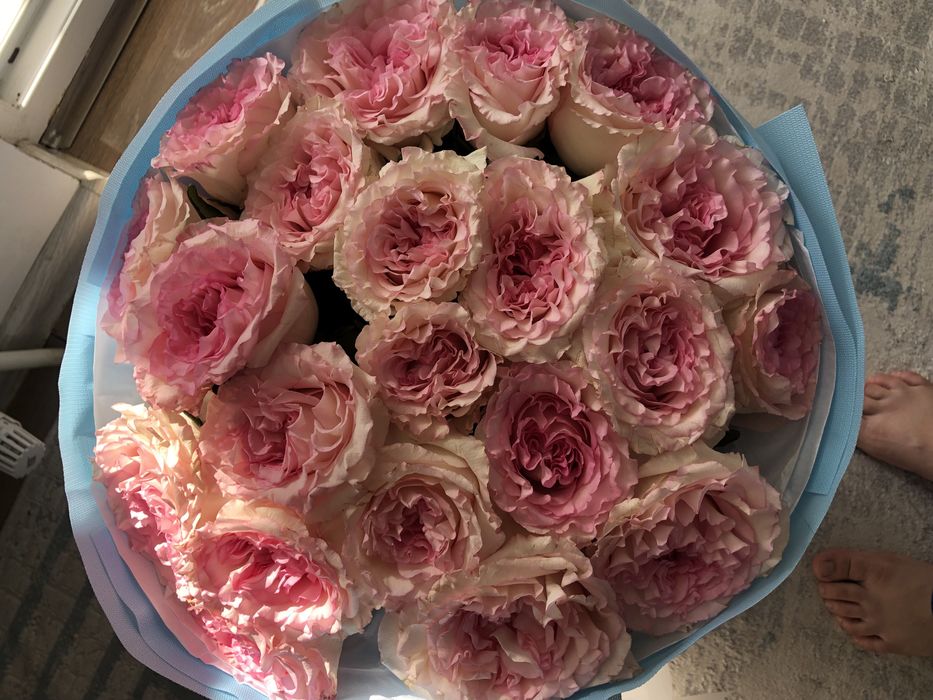 Роза 21 шт 5000тг