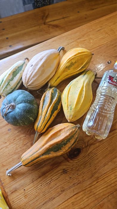 Семена декоративной тыквы