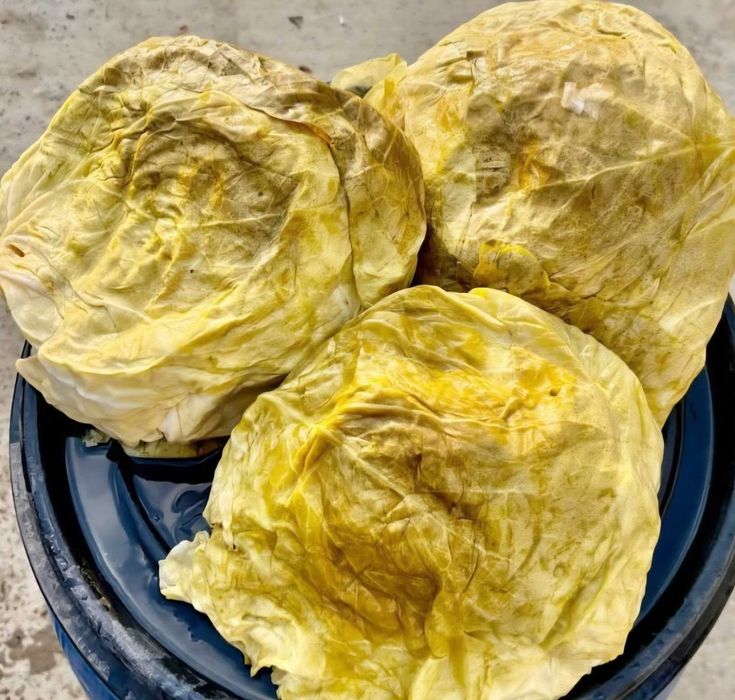 Varza murata romaneasca /golden slim