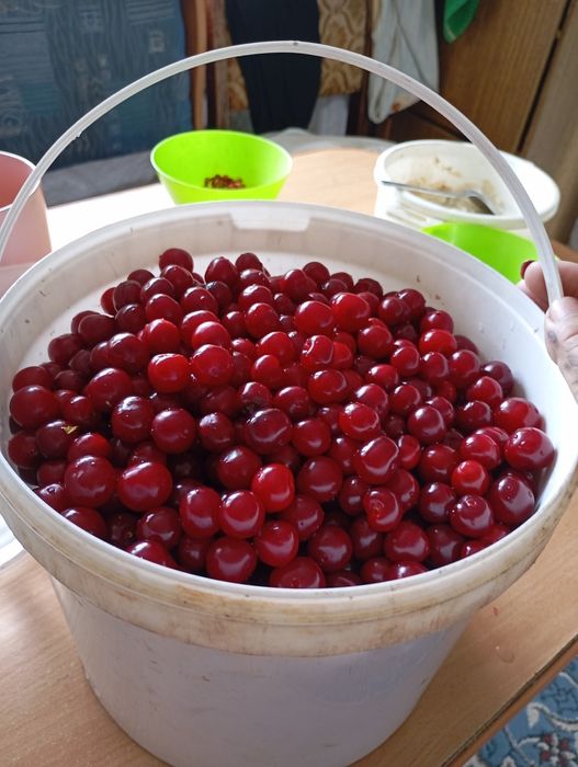 Продам дачу сообщество КЖБИ