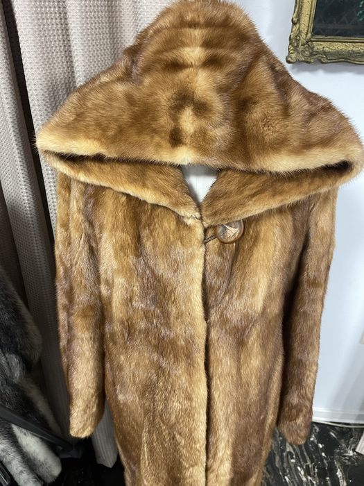 Vizon Mustela, SAGA MINK