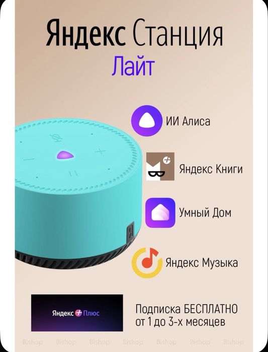 Новый•Алиса Яндекс•mini•lite•max•midi•duo max•street•stansiya 3•