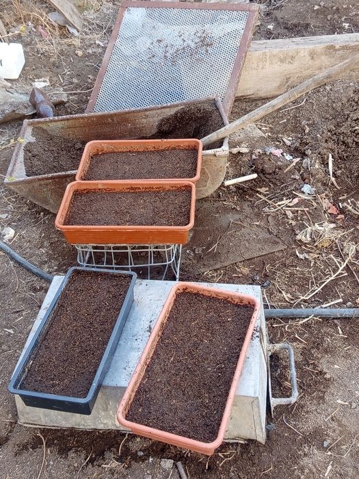 Биогумус в черте города Кызылорда