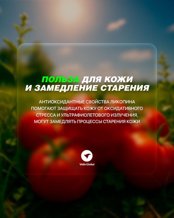 Томатная паста консервированная 800гр