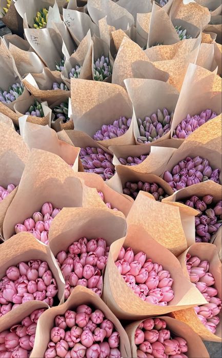 Тюльпан 50-60 см