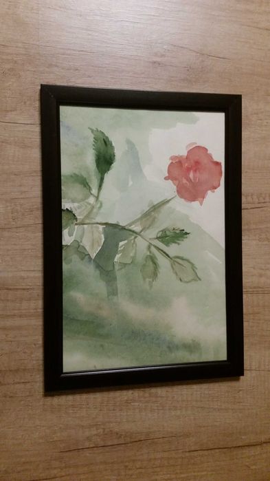 Червена роза в черна рамка със стъкло отпред само за 9 Евро.