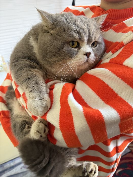 Вязка хизмати Барсикдан 24/7