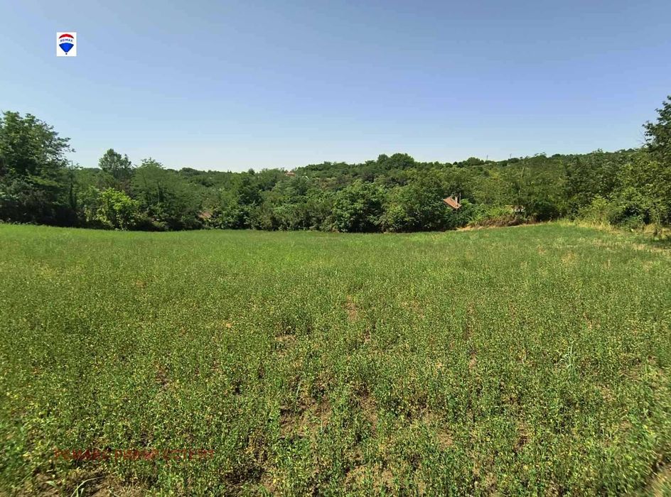 Продава се Парцел в с. Писанец, Област Русе - 1860 кв.м за 10 €/кв.м - Снимка #5