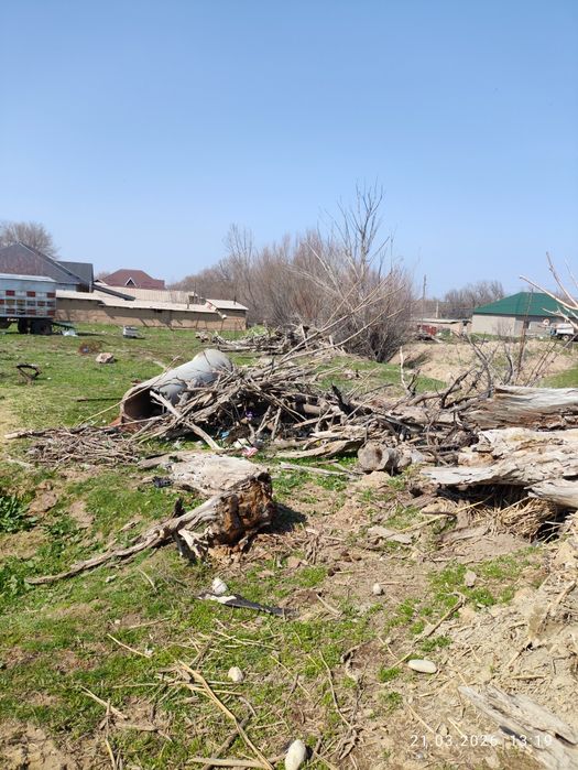 Отын курап кеткен