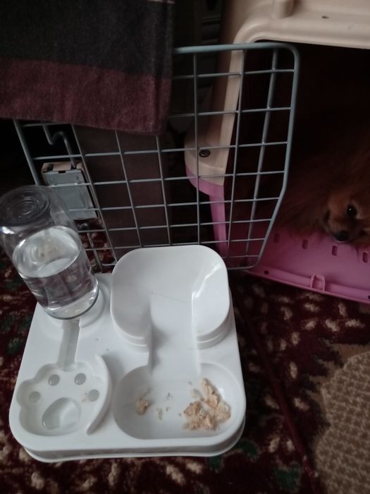 Продам поилку и для корма .