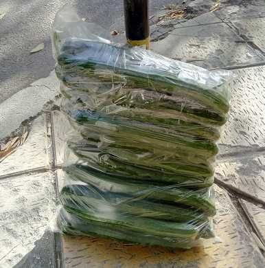 Чували за краставици