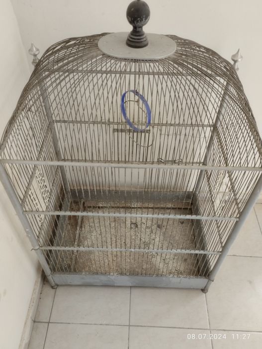 Тутикуш Сава канарейка ва бошка Катта кушларга буй 1 20 30х50