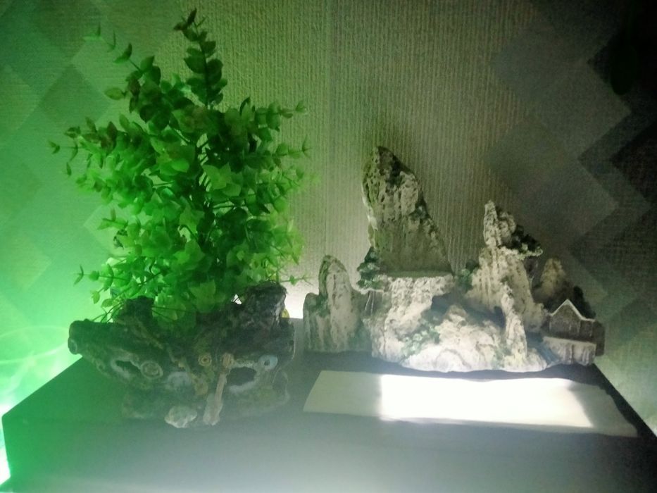 Продам декор все коплект 7000тг