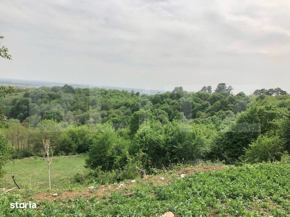 Teren intravilan, parcelat 7600+5700+1400, Manastirea Dealu