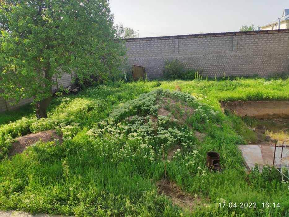 Дача Азадбаш ширин олма боги 6 соток