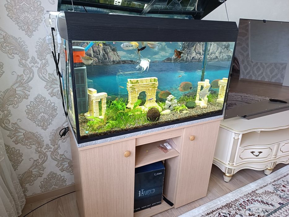 Продам аквариум 200 литров