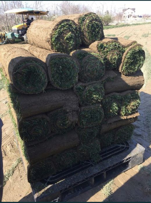 Gazon Rulou Sport Calitate Extra