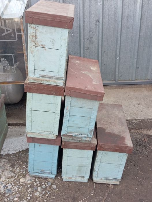 Продам нуклеусы для пчел