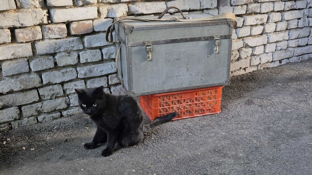 Сундук советского кинооператора  57 х 34 х 36(выс) см.