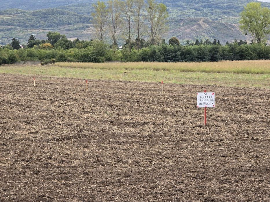 Teren Dancu cu deschidere la 2 drumuri + drum de 7 m privat