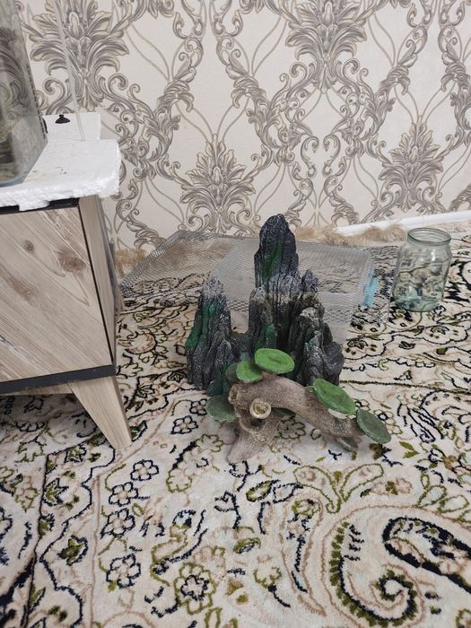Продаю красноухих черепах